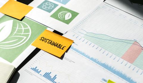 Sustainability reporting