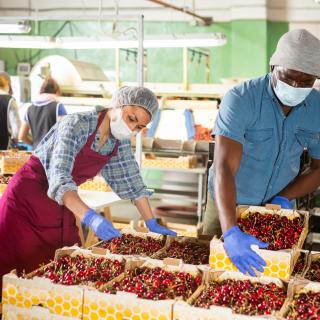 Biosafety certification: ensuring the safety of workers in the food supply chain