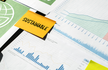 Sustainability Report Assurance