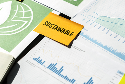 Sustainability Report Assurance